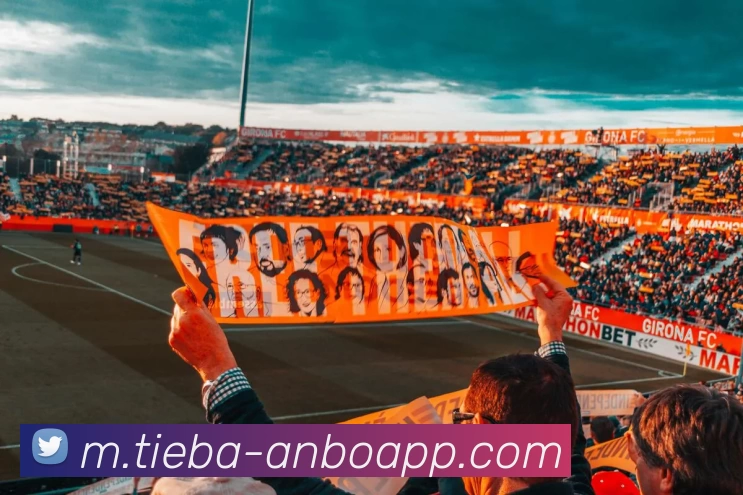 安博体育APP 高清赛事图