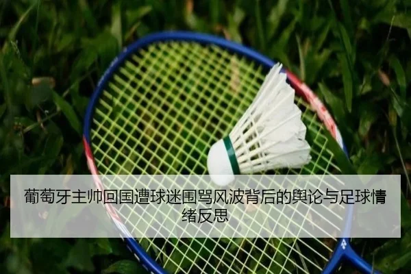 葡萄牙主帅回国遭球迷围骂风波背后的舆论与足球情绪反思